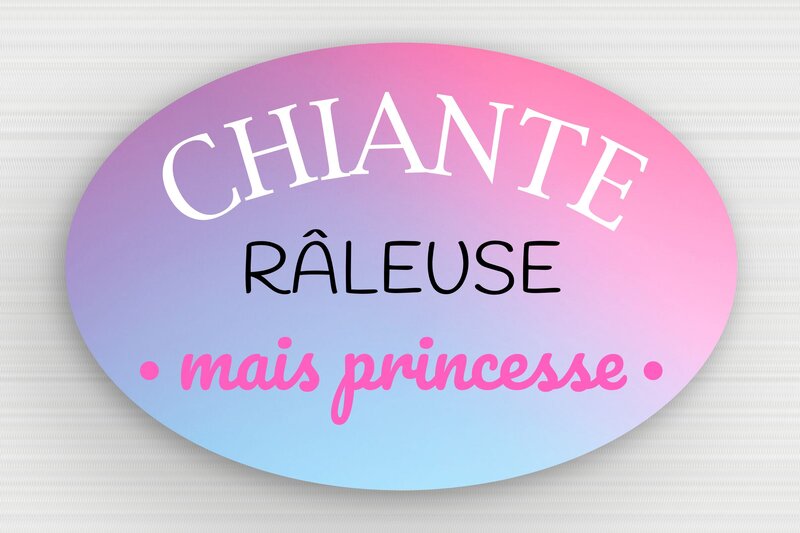Panneau humour prince princesse - Plaque râleuse mais princesse - 150 x 100 mm - PVC - custom - glue - humour-couple-036-4