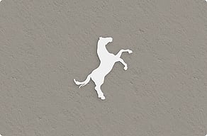 Pferdeschild - Aufbäumendes Pferd als freie Kontur - custom - glue-cutout - cutout-at-aufbaumendes-pferd-als-volle-silhouette-geburstetes-aluminium-stallwand