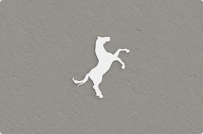 Pferdeschild - Aufbäumendes Pferd als freie Kontur - custom - glue-cutout - cutout-de-aufbaumendes-pferd-als-volle-silhouette-geburstetes-aluminium-stallwand Pferdeschild - Aufbäumendes Pferd als freie Kontur - custom - glue-cutout - cutout-de-aufbaumendes-pferd-als-volle-silhouette-geburstetes-aluminium-stallwand