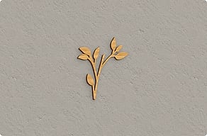 Gravurschilder - Blattzweig als freie Kontur neben dem Namen - bambou - glue-cutout - cutout-de-blattzweig-als-freie-kontur-massives-okoume