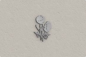 Hausschilder - Mohnblume als freie Silhouette - brosse - glue-cutout - cutout-de-mohnblume-als-freie-silhouette-geburstetes-aluminium