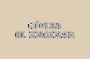 Placas para Caballos - Nombre de la hípica en letras sueltas - brosse - glue-cutout - cutout-es-nombre-de-la-hipica-en-aluminio-cepillado-fachada