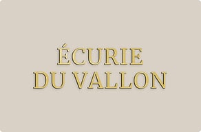 Plaque de box pour cheval - Nom d'écurie en façade - brosse-or - glue-cutout - cutout-fr-nom-d-ecurie-en-alu-dore-facade Plaque de box pour cheval - Nom d'écurie en façade - brosse-or - glue-cutout - cutout-fr-nom-d-ecurie-en-alu-dore-facade