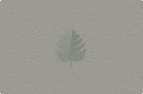 Acrylic Signs - Cut-out leaf to sit beside the name - vert - glue-cutout - cutout-gb-cut-out-leaf-in-green-acrylic-beside-the-name-on-the-door Acrylic Signs - Cut-out leaf to sit beside the name - vert - glue-cutout - cutout-gb-cut-out-leaf-in-green-acrylic-beside-the-name-on-the-door