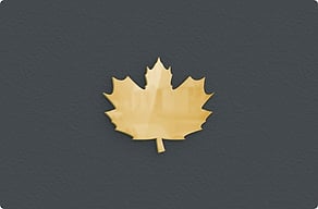 Address Signs - Leaf motif beside the address - poli-noir - glue-cutout - cutout-gb-cut-out-leaf-in-polished-brass-beside-the-address Address Signs - Leaf motif beside the address - poli-noir - glue-cutout - cutout-gb-cut-out-leaf-in-polished-brass-beside-the-address
