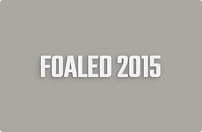 Stable Signs - Foaling year under the horse name - custom - glue-cutout - cutout-gb-foaling-year-in-white-pvc-under-the-horse-name