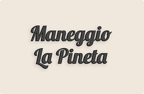 Targhe personalizzate per cavalli - Nome del maneggio in corsivo - custom - glue-cutout - cutout-it-nome-del-maneggio-in-plexiglass-stampato-ingresso