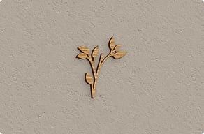Targhette per porta in alluminio - Ornamento vegetale accanto al nome - chene - glue-cutout - cutout-it-ornamento-vegetale-in-alluminio-dorato-accanto-al-nome