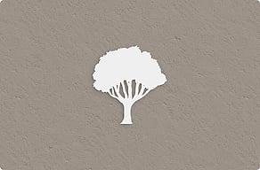 Targhe con nome casa - Pino marittimo sagomato - custom - glue-cutout - cutout-it-pino-marittimo-in-pvc-espanso-muro-del-giardino