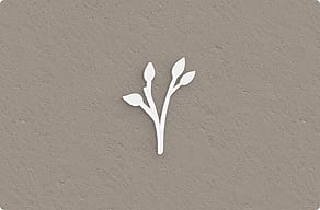 Targhe in diversi materiali - Ramo decorativo sagomato - custom - glue-cutout - cutout-it-ramo-di-foglie-sagomato-da-affiancare-al-cognome