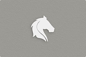 Stalbordjes paard - Uitgesneden paardenhoofd voor de box - custom - glue-cutout - cutout-nl-paardenhoofd-in-wit-forex-boxdeur