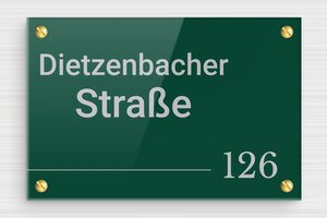 Türschild aus Plexiglas - de-haus-tur-schild-plexi-001-5 - 150 x 100 mm - vert-argent - screws - de-haus-tur-schild-plexi-001-5