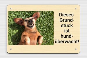 Hundeschilder - Schild 'Vorsicht vor Hunden' - 300 x 200 mm - PVC - erable-noir - screws - de-hund-schild-002-0