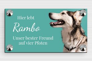 Hundeschilder - de-hund-schild-004-5 - 150 x 80 mm - custom - screws-caps - de-hund-schild-004-5