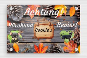 Hundeschilder - Straßenschild 'Achtung Hund' - 150 x 100 mm - Plexiglas - custom - screws - de-hunde-schild-001-1