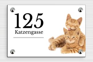 Katzenschilder - de-katze-schild-019-1- - 210 x 140 mm - custom - screws-caps - de-katze-schild-019-1-