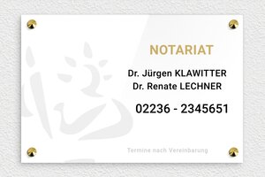 Praxisschild mit Logo - de-notar-011-1 - 300 x 200 mm - custom - screws-caps - de-notar-011-1