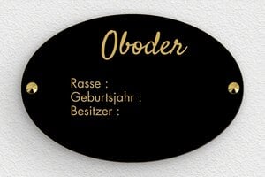 Pferdeschild - de-pferd-namen-schild-002-3 - 300 x 200 mm - noir-or - screws-caps - de-pferd-namen-schild-002-3