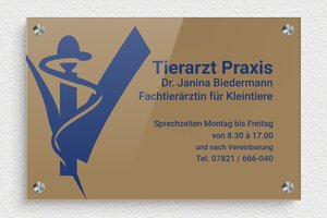 Plexiglasschilder - de-praxis-schild-plexi-003-4 - 300 x 200 mm - custom - screws-spacer - de-praxis-schild-plexi-003-4