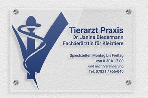 Praxisschild aus Transparentes Plexiglas - de-praxis-schild-plexi-trans-003-5 - 300 x 200 mm - transparent - screws-spacer - de-praxis-schild-plexi-trans-003-5