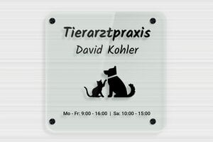 Praxisschilder aus transparentem Plexiglas - Transparentes Plexi Grün - 250 x 250 mm - vert - screws-spacer - de-praxis-schild-plexi-trans-008-3