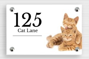 Cat Signs - Foam PVC - custom - screws-caps - en-uk-cat-sign-019-1-1748952056701 Cat Signs - Foam PVC - custom - screws-caps - en-uk-cat-sign-019-1-1748952056701