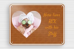 Dog Signs - Printed PVC - poirier-blanc - screws - en-uk-dog-sign-002-01-1748953672609 Dog Signs - Printed PVC - poirier-blanc - screws - en-uk-dog-sign-002-01-1748953672609