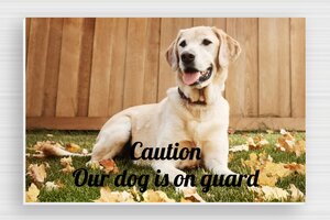 Beware of Dog Signs - Foam PVC - custom - glue - en-uk-dog-sign-008-3-1748953607938