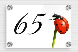 Pet Signs - Printed Plexiglass - custom - screws-caps - en-uk-house-pet-sign-017-1-1748951970187