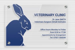 Transparent Acrylic Business Signs - Transparent Plexiglass - transparent - screws-spacer - en-uk-practice-sign-acrylic-trans-003-5-1748958166607