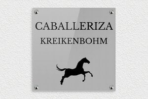 Placas para Caballos - Plexiglás - undefined - gris-noir - screws-caps - es-area-caballo-establo-003-3-1747818993820