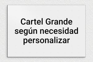Placas Grandes - PVC - undefined - gris-noir - none - es-cartel-grande-002-5-1747890188065