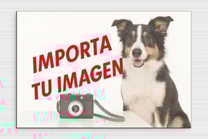 Carteles "Cuidado con el Perro" - PVC - undefined - custom - glue - es-cartel-perro-015-3-1747900184229