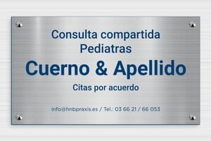 Placas de Acero Inoxidable - PVC - undefined - acier-bleu - screws-caps - es-cartel-pvc-praxis-003-2-1747888840113
