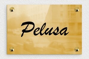 Placas para Caballos - Latón - undefined - poli - screws-caps - es-nombre-caballo-003-5-1747819169508