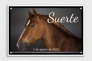 Placas para Box de Caballo - PVC - undefined - custom - screws - es-nombre-caballo-establo-personalizable-001-3-1747819239489
