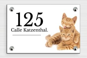 Placas para Puerta de Entrada - PVC - undefined - custom - screws-caps - es-placa-casa-mascota-019-1-1747822521885