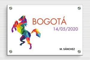 Placas para Box de Caballo - PVC - undefined - custom - screws-spacer - es-placa-nombre-caballo-cuadrada-001-1-1747819227496