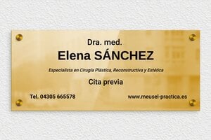 Placas Profesionales de Latón - Latón - undefined - poli - screws-caps - es-placa-practica-laton-003-3-1747882191012