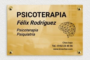 Placas Profesionales de Latón - Latón - undefined - poli - screws-caps - es-placa-practica-laton-004-2-1747882228625