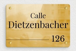 Placas de Latón - Latón - undefined - poli - screws - es-placa-puerta-casa-laton-002-2-1747898452418