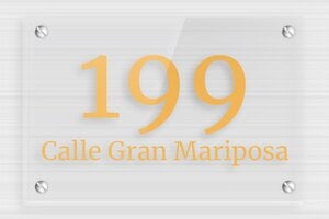 Placas de Metacrilato Transparente para Puerta  - Plexiglás transparente - undefined - transparent - screws - es-placa-puerta-plexi-trans-002-2-1747898757613