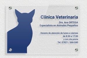 Placas de Metacrilato Transparente - Plexiglás transparente - undefined - transparent - screws-spacer - es-praxis-senal-plexi-trans-003-5-1747889091790
