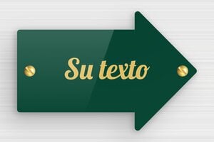 Placas con Forma de Flecha - Plexiglás - undefined - vert-or - screws - es-senal-en-forma-de-flecha-001-3-1747890070395