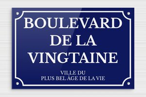 Humour anniversaire - Panneau boulevard de la vingtaine - 300 x 200 mm - Plexiglass - bleu-blanc - screws - humour-anniversaire-20ans-004-3