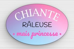 Panneau humour prince princesse - Plaque râleuse mais princesse - 150 x 100 mm - PVC - custom - glue - humour-couple-036-4