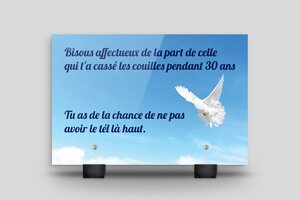 Panneaux de signalisation humoristiques - Plaque funéraire humoristique - Plexiglass 8mm- 210 x 140 mm - Pieds noirs - 210 x 140 mm - Plexiglass 8mm - custom - feet - humour-funeraire-001-3