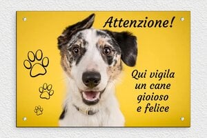 Targhe  personalizzate per cani - PVC - undefined - custom - screws - it-cartello-cane-003-5-1747215161178