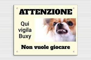 Targhe  personalizzate per cani - Cartello 'Attenzione, cane lunatico' - undefined - custom - screws - it-cartello-cane-004-4-1747215240324