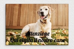 Cartelli attenti al cane - Cartello 'Attenzione al cane' - undefined - custom - glue - it-cartello-cane-008-3-1747215064866
